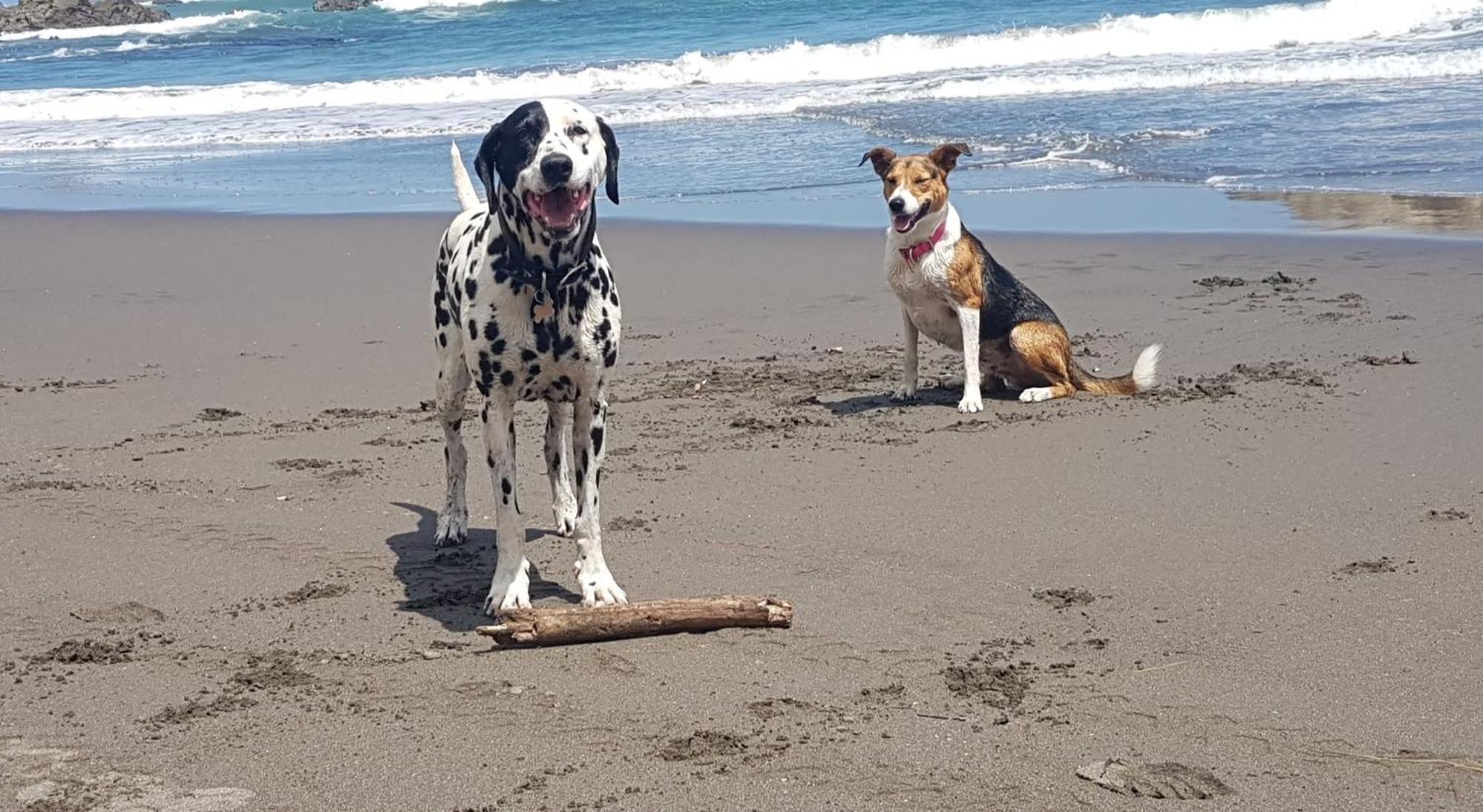 Port Waikato Holiday Park Bagian luar foto